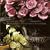 Victoria's Secret - Passion & Pleasures Vol. 7