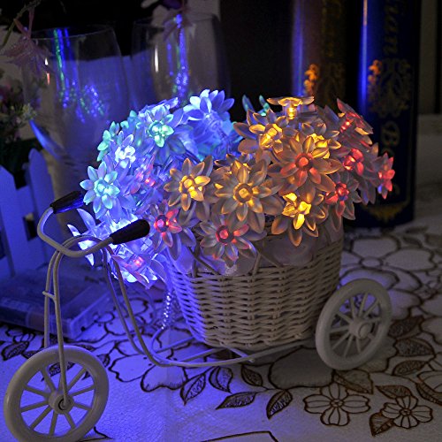 détail Lychee 4m 40LED Guirlande à Fleurs de Lotus à Double-couche de pétales foctionner sur pile Décoration pour Extérieur Intérieur Mariage Jardin Fête Noël (Multi-couleur)
