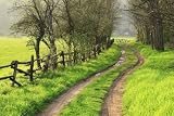 COUNTRY ROADS AND PICKUP TRUCKS: One Woman's Observations About Life Lived In The Slow Lane; A Collection Of Humorous And Inspirational Essays by Jean Boles