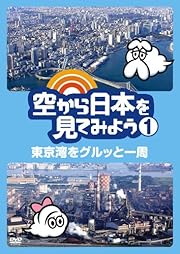 空から日本を見てみよう1 東京湾をグルッと一周 [DVD]