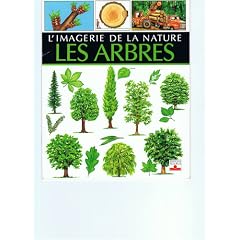 Les arbres