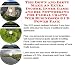 The Down and Dirty Make An Extra Income, Inner Game and Biz Networking for Floral Crafts Web Businesses 3 CD Power Pack