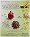 Better Oats Thick & Hearty, Apples & Cinnamon, 12.3 oz