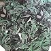 Sequin Fishscale Fin 1.5