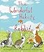The Wonderful Habits of Rabbits