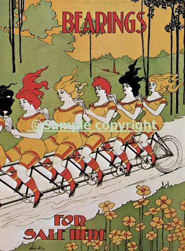Ladies Riding Bicycle Together Flowers Garden Art Nouveau 20