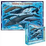 Jigsaw Puzzle 100 pieces, Whales and Dolphins, 19 in X 13 in