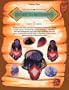 Beads to Buckskins, Vol. 9