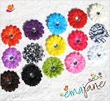 Ema Jane - 14 Cute Assorted Ema Jane Boutique Quality Small Gerber Daisy Hair Clip Bows (Headbands Not Included) - Infant, Baby, Toddlers, Youth, Young Girls (Headbands Not Included) - Hair Clip Attaches to a Headband or Beanie
