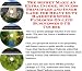 The Special How To Earn Extra Money, Marketing and Success Principles for Heavy Duty ...