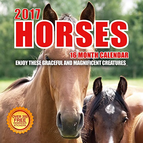Top Best 5 Cheap Katy Perry Calendar 2017 For Sale 2016 Review 
