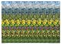 Butterfly Meadow 18"x13" Stereogram Poster