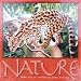 1000pc. Margay Cat Nature Puzzle
