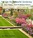 Top Tips for Successful Gardening - Save Money, Time and Reduce Failures Top Tips for Successful Gardening - Save Money, Time and Reduce Failures