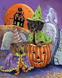 Dachshund Halloween Garden Flag