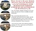 Book The Guru's Earn More Money, Sales Models and eCommerce for Badminton Shoes Internet Businesses 3 CD Power Pack