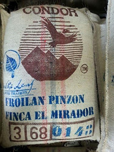 5LBS Colombia Condor Froilan Pinzon