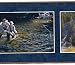Fly Fishing Wallpaper Border