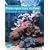 Petits aquariums récifaux : Guide pratique du débutant