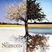 The Seasons