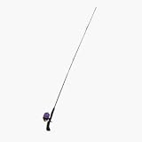 South Bend Sporting Goods C/DINO Youth Fishing Rod And Reel