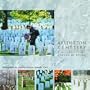 Arlington Cemetery: A Nation's Story Carved in Stone