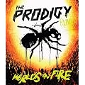 The Prodigy Live : The World's on Fire