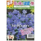 ���i�̏ڍ�