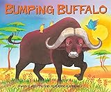 Bumping Buffalo