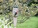 Recycled Pileated Suet Bird Feeder