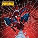 Spider-Man Collectibles & Gifts