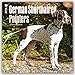 German Shorthaired Pointers (Intl) 2016 Square 12x12