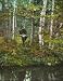 Portage 'Carry' in the Adirondacks, 1902 - Exceptional 16" x 20" print of vintage color photochrome from the Library of Congress Collection