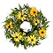 Shasta Daisy Wreath - 16
