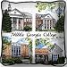 Middle Georgia College Collage - 69 x 48 Pillow