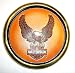 Harley Davidson~ Harley Davidson Coaster~ Rare Authentic Coaster!!~ Approx 3.5"