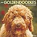 2016 Just Goldendoodles Wall Calendar