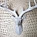 Large White Resin Stag Deer Head