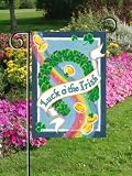 St. Patricks Day Luck of the Irish Mini Flag