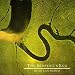 Super Musik