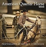 2016 American Quarter Horse Wall Calendar