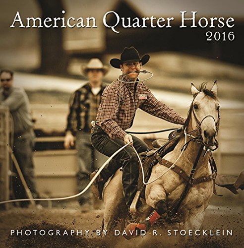 2016 American Quarter Horse Wall Calendar