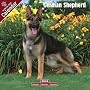 2009 German Shepherd Wall Calendar