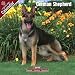 2009 German Shepherd Wall Calendar