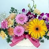 556�y���̓��M�t�g6/14����6/16�̂��͂��z��։��F�̃K�[�x���ƃs���N�n�̃K�[�x���A�����W�����g