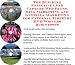 The Guerilla Marketing, Building Effective Lead Capture Web Pages, SIVA Marketing for External Firewire DVD Writers Businesses