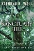 Sanctuary Hill: A Bay Tanner Mystery (Bay Tanner Mysteries)