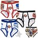 Search : Superman Set of Three Briefs for Boys