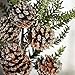 Factory Direct Craft Iced Artificial Pinecone and Pine Spray for Home and Holiday Decorating and Embellishing