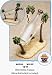 Palm Tree Wine Bottle Holder